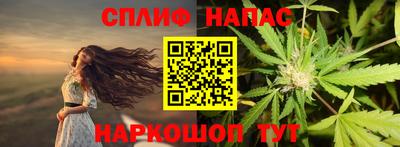 прущие грибы Шелехов